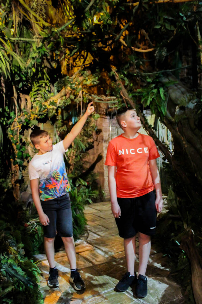 04 Antiguan Rainforrest_0018