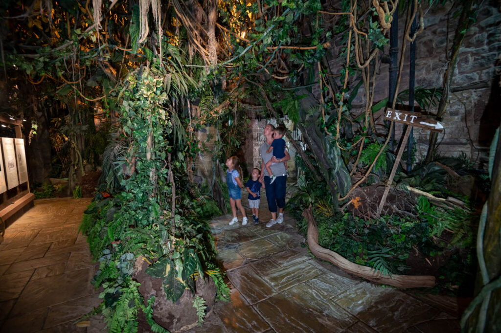 04 Antiguan Rainforrest_0030