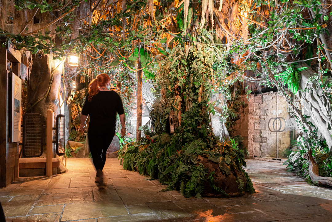 Female person with back to camera walking through an indoor exhibition featuring shrubs and trees